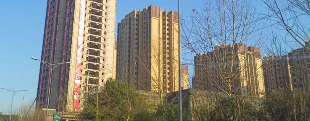 微信截图_20230511215947