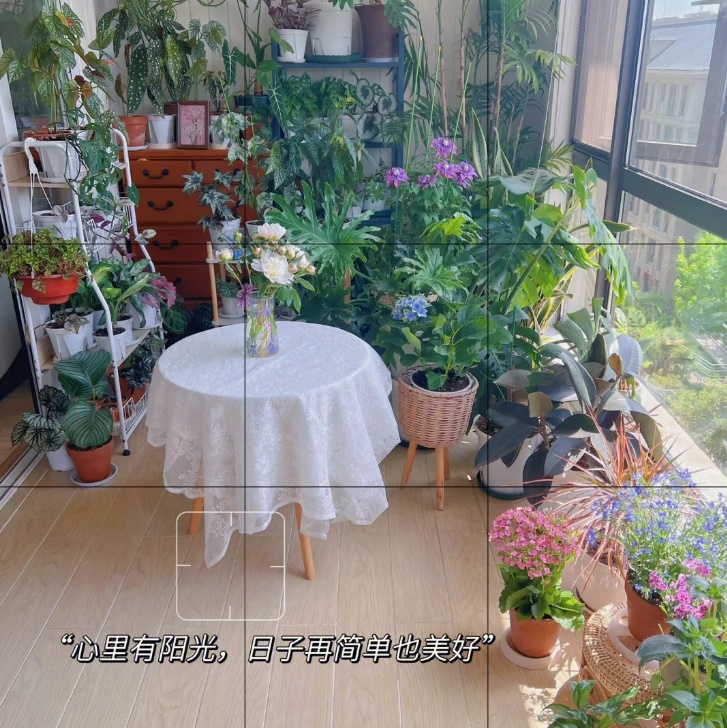 阳台不纳入客厅装修 打造花园阳台要注意这4点