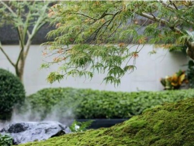金茂府三个字靠什么值得信赖？
