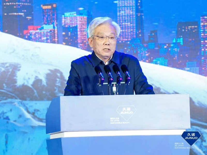 中国房地产业协会副秘书长 杨卫江