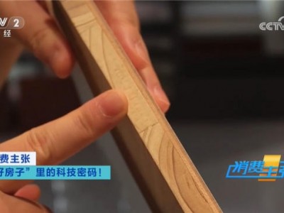 央视《消费主张》聚焦兔宝宝：一块好板，筑牢"好房子"绿色健康底色